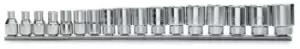 image of Beta Tools 910A/SB 17pc 3/8" Square Drive Hexagon Metric Socket Rail Set 6-22mm