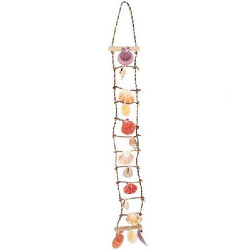 Image of Something Different Something Different 14 Piece Shell Ladder Multi One Size Unisex 5057819999006