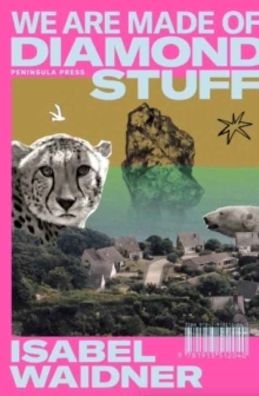 Image of We are Made of Diamond Stuff Paperback / softback