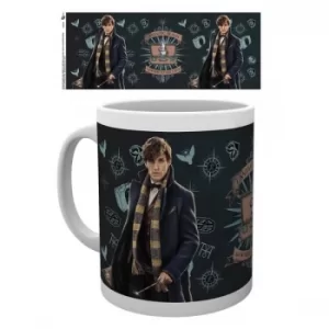 Image of Fantastic Beasts Newt Solo Mug