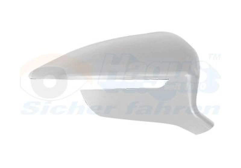 Image of VAN WEZEL Wing mirror cover VAN WEZEL 4907844