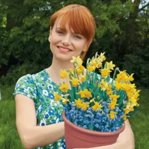 Image of YouGarden Pair of Plant-o-Mat Narcissus and Scilla Bulbs