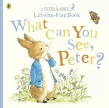 Image of What Can You See Peter? Very Big Lift the Flap Book