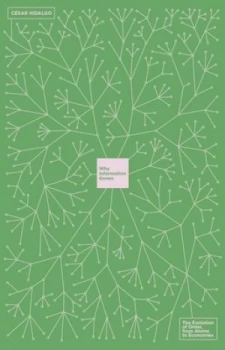 Image of Why Information Grows by Csar Hidalgo Hardback