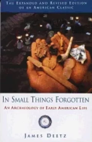 Image of in small things forgotten an archaeology of early american life