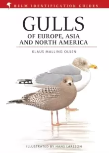 Image of Gulls of Europe, Asia and North America