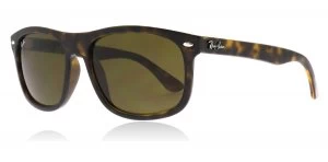 Ray-Ban RB4226 Sunglasses Tortoise 710/73 56mm