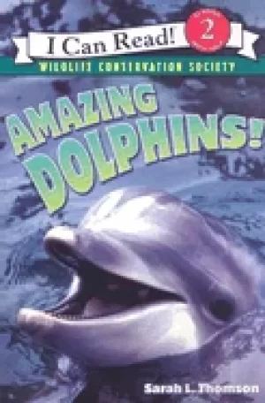 Image of amazing dolphins