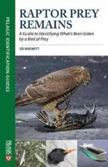 Image of Raptor Prey Remains : A Guide to Identifying What's Been Eaten by a Bird of Prey