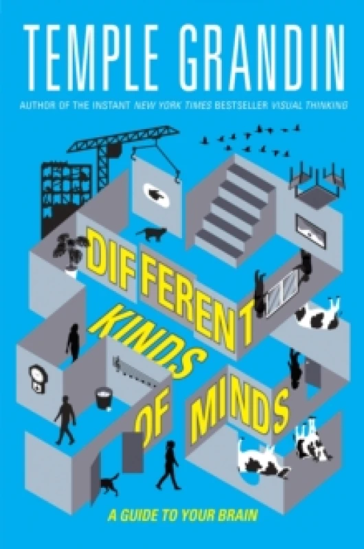 Image of Different Kinds of Minds : A Guide to Your Brain Paperback / softback
