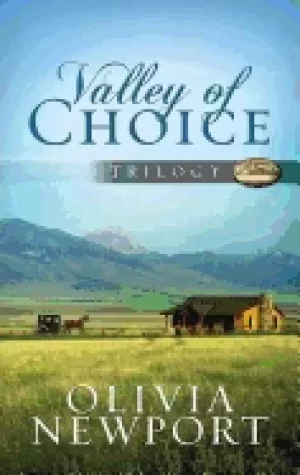 Image of valley of choice trilogy one modern woman