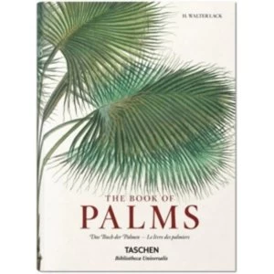 Image of Martius. The Book of Palms