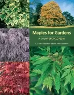 Image of maples for gardens a color encyclopedia