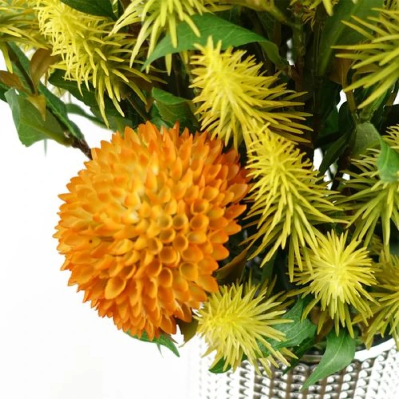 Image of Leaf 55cm Callistemon Pallidus Yellow Bottle Brush Stem