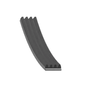 Image of Auxiliary Belt - Multi-Rib AD04R1590 by Blue Print