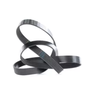 Image of Bosch V-ribbed belt BMW,NISSAN,HONDA 1 987 948 313 11281432724,11287843246,31110RL0G52 38920PRA004,PQS000100,11720VC101,11720VC102,11720VC103