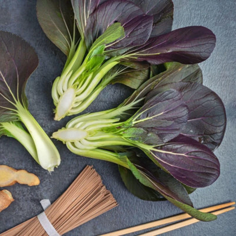 Image of Purple Rain Pak Choi F1 Hybrid Seeds - Hardy Annual With Vibrant Purple Leaves For Salads & Stir Fries - Thompson & Morgan 250 See