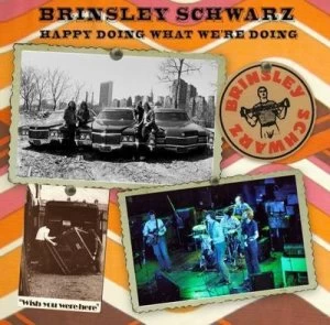Image of Brinsley Schwarz by John Blaney Paperback