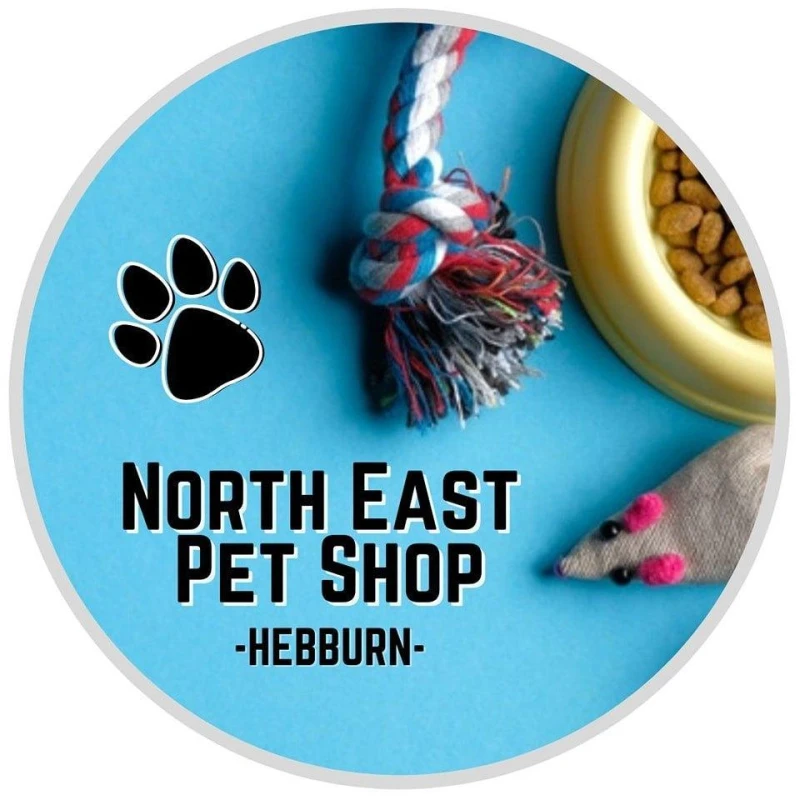 Image of beaphar Anti-Parasite Spot On for Rabbits, Guinea Pigs, Ferrets and Rats Clear unisex