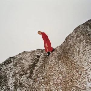 Image of Reward by Cate Le Bon CD Album