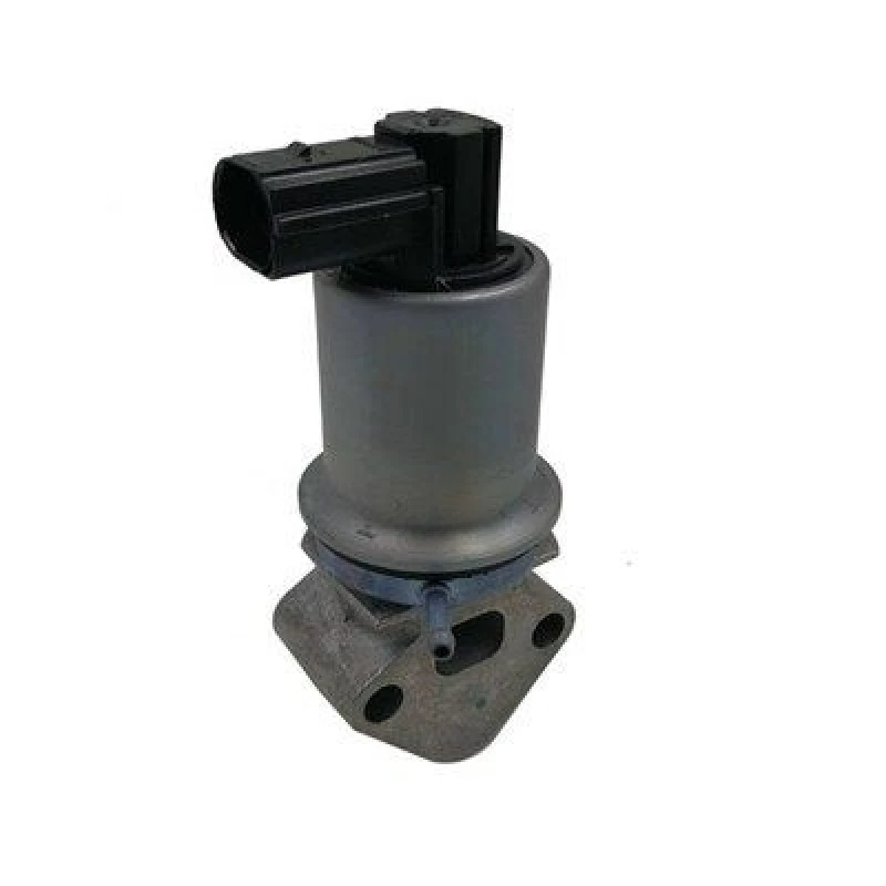 Image of MAGNETI MARELLI EGR valve MAGNETI MARELLI 571822112071