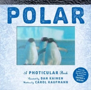 Image of Polar by Dan Kainen Hardback