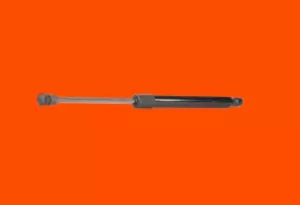 Image of RIDEX Tailgate strut Vehicle Tailgate 219G0075 Gas spring, boot- / cargo area,Boot struts RENAULT,CLIO II (BB0/1/2_, CB0/1/2_)