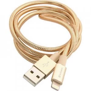 Image of Verbatim Charger lead 1m Gold