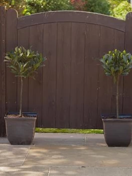 Image of Pair 11 Square Gold Tulipa Style Planters