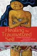 Image of healing the traumatized self consciousness neuroscience treatment hardcover
