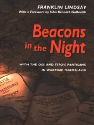 Image of Beacons in the night by Franklin Lindsay