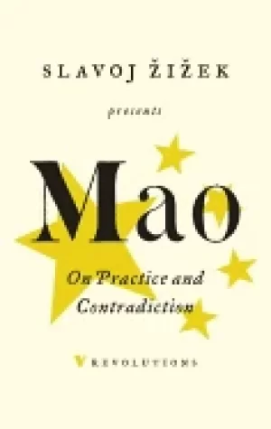 Image of on practice and contradiction