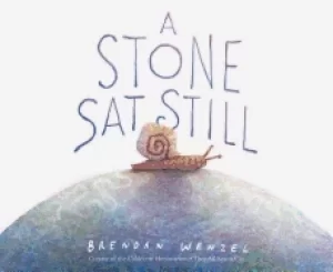 Image of stone sat still