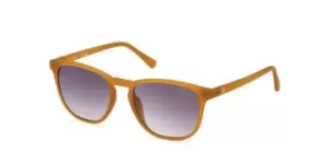 image of Guess Sunglasses GU 00061 43B