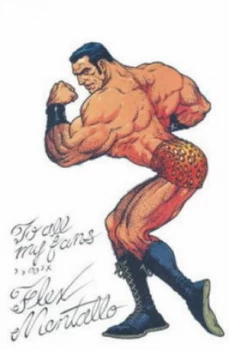 Image of Flex Mentallo Book