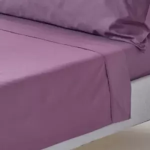 Image of Grape Egyptian Cotton Flat Sheet 200 Thread Count, Double - Grape - Grape - Homescapes