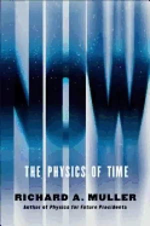 Image of now the physics of time