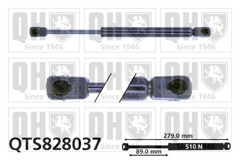 Image of QUINTON HAZELL Tailgate strut QUINTON HAZELL QTS828037