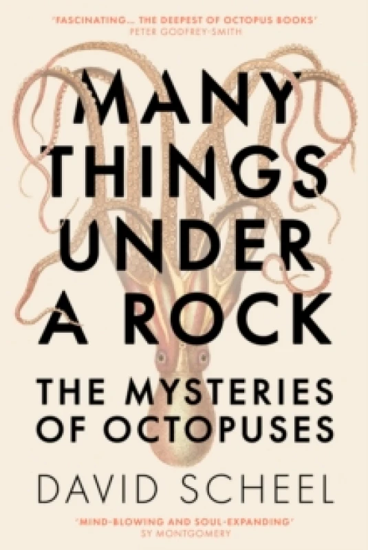 Image of Many Things Under a Rock : The mind-blowing book that reveals the mysteries of the octopus, perfect for all science enthusiasts and fans of David Atte