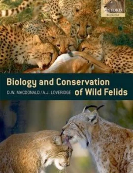 Image of Biology and Conservation of Wild Felids by David Macdonald Book