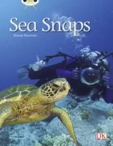 Image of Bug Club Independent Non Fiction Year 1 Green A Sea Snaps