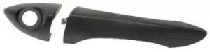 Image of PRASCO Door Handle BMW BM8208002 51218243621