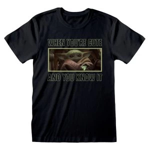Image of Star Wars - The Mandalorian When You're Cute and You Know It Unisex Medium T-Shirt - Black
