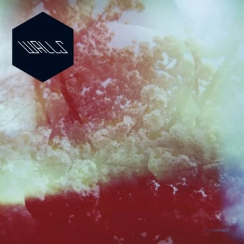 Image of Walls - Walls CD