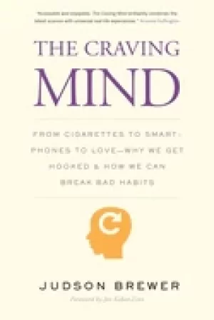 Image of craving mind from cigarettes to smartphones to love why we get hooked and