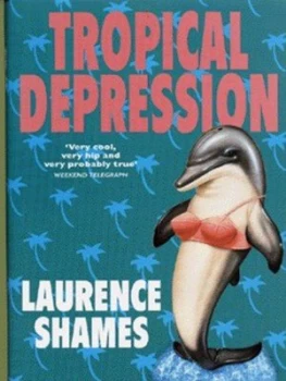 Image of Tropical Depression by Laurence Shames Hardback