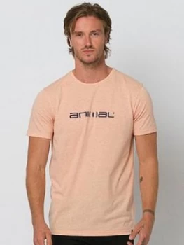 Image of Animal Marrly Graphic Short Sleeve T-Shirt - Coral, Size XS, Men