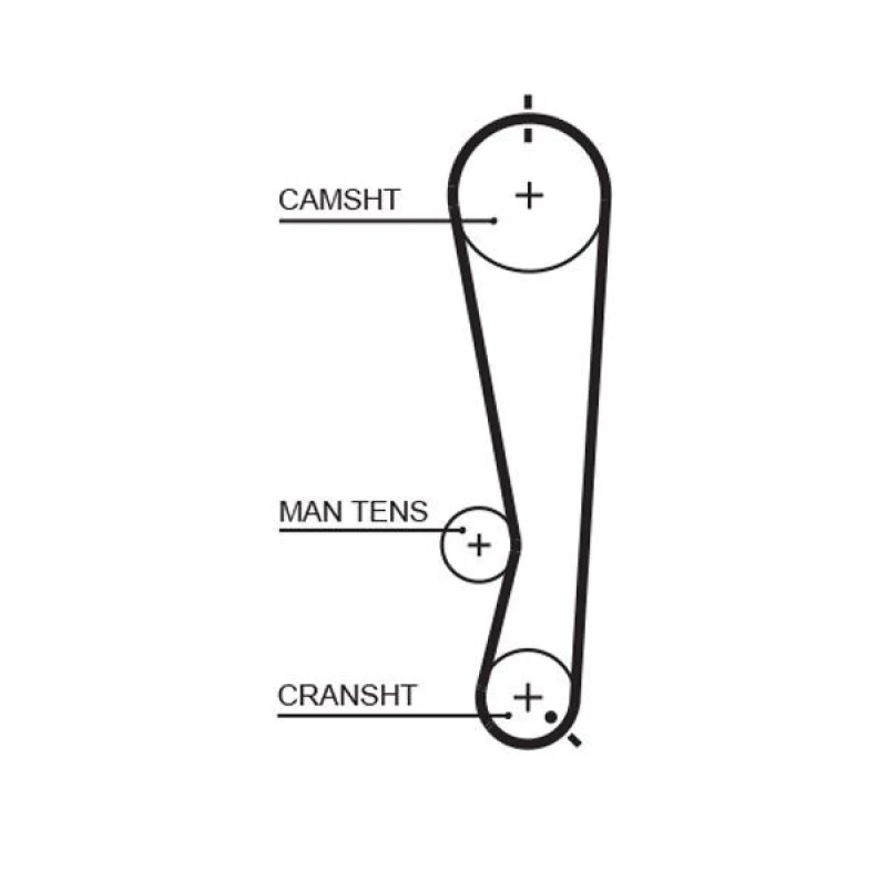 Image of GATES Timing Belt GATES 5591XS