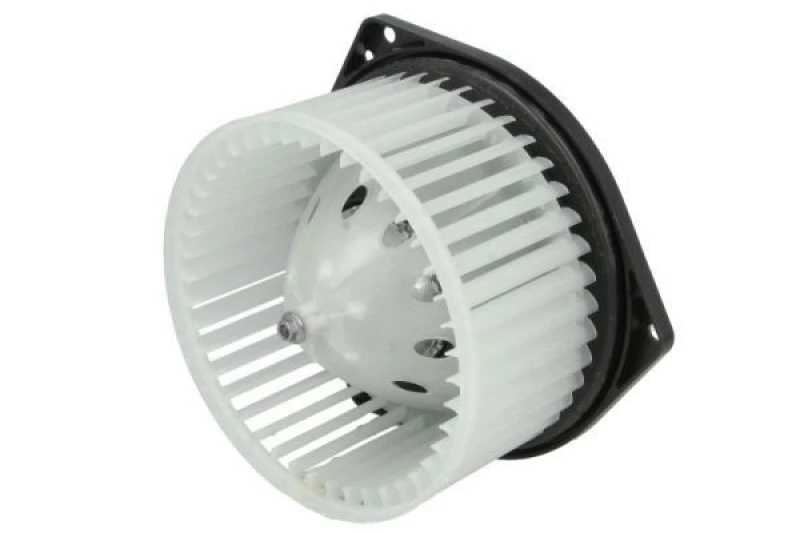 Image of THERMOTEC Blower motor THERMOTEC DD9002TT
