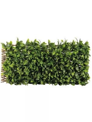 Image of Smart Solar Lemon Leaf 180 X 90Cm Trellis